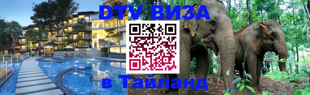 Оформление DTV визы под ключ: стоимость и тарифы, только загранпаспорт - Анкара 